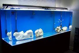 Plain Aquarium Laminated Double Glass