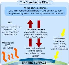 Causes And Effects Of Global Warming S Cool The Revision