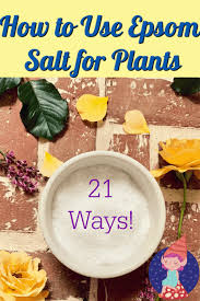 use epsom salts for plants to grow your