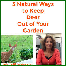 3 Natural Ways To Keep Deer Out Of Your