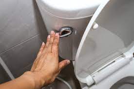 If the water supply is turned off, the water in the back tank will empty out into the toilet bowl and will not be refilled afterwards. Flush Your Toilet Even If The Water Is Shut Off