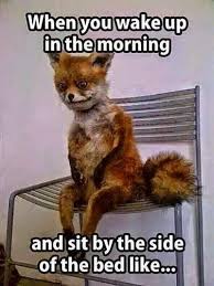 When you wake up in the morning And sit by the side of the bed like... via Relatably.com