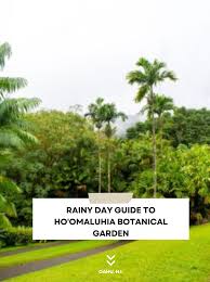 rainy day guide to ho omaluhia