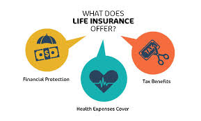 News 360 reviews takes an unbiased approach to our. How Insurance Needs Change At Every Life Stage The Economic Times
