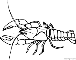 736 x 952 file type: Big Lobster Coloring Page Coloringall