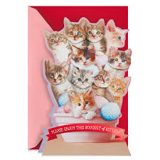 Watch how cat mom cudle with her funny kittens. Mice Mouse Tumbler Playing Toys Pet Cat Dog Kitten Valentine S Day Gift Toys
