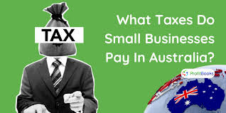 what ta do small businesses pay in