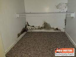 mold in closet how to prevent and get