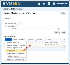 Oracle Applications Oracle Fusion General Ledger Setup