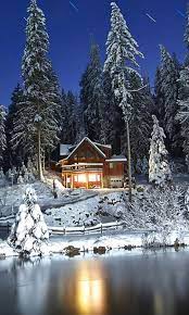 Winter cabin, cool, forest, natural ...