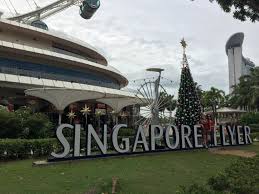 Resultado de imagem para singapura flyer singapore