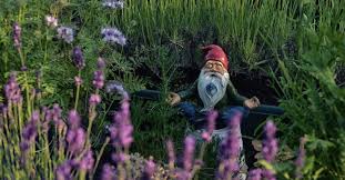 an abbreviated history of garden gnomes