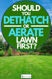 How long after dethatching Should I aerate?