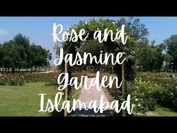 rose and jasmine garden abad you