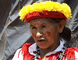 In the 1960s and 70s, the guarani kaiowá were expelled from their ancestral lands by the brazilian military . Guarani