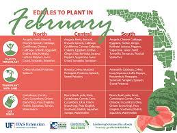 Vegetables To Plant In February