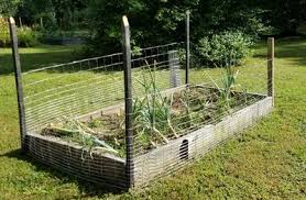 This galvanized wire fence has a horizontal spacing that gets closer as you near the ground for effective use. Expert Gardener Galvanized Steel Rabbit Guard Wire Fence 24 X 50 Walmart Com Walmart Com
