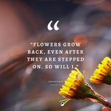 We did not find results for: 55 Inspirational Flower Quotes Beautiful Motivational Sayings With Pictures
