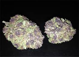 Owl i somehow knew that i was going to share chocolate and berry pie are. Blackberry Marijuana Strain Information Leafly