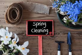 Outdoor Spring Cleanup