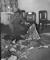 about the roswell photo collection