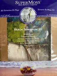 Sea Glass Sand Beach Terrarium Kit