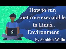 how to run net core executable app in