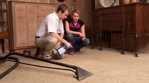 best 15 carpet cleaners in mequon wi