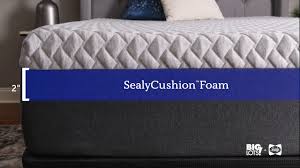 Get your best night's sleep with one of our serta mattresses brought to you by big lots! Sealy Laze Queen 12 Memory Foam Mattress In A Box Big Lots