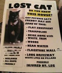 Submitted 1 hour ago by 1000_cats_. A Cat And Its Owner S Mind Have Gone Missing Cat Posters Lost Cat Poster Funny Cat Fails