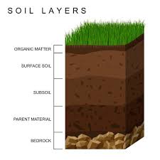 difference between soil and dirt