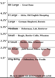 Eye Catching Muttluks Dog Boots Size Chart 2019