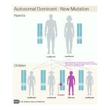 What Are The Different Ways In Which A Genetic Condition Can
