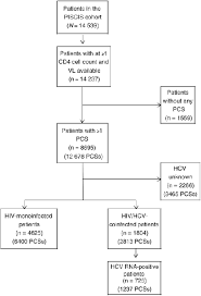 Study Design Flow Chart Abbreviations Hcv Hepatitis C