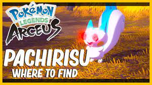 Pachirisu Location and Where To Catch it in Pokémon Legends Arceus - YouTube