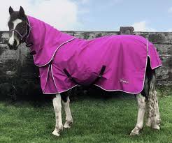 whitaker turnout rug 200g detachable