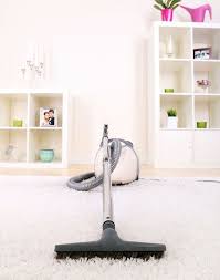 bunters carpet cleaning pest control