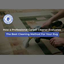 carpet cleaning shipman cleaning