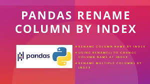how to rename column by index in pandas