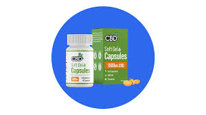 The 8 Best CBD Capsules and Pills 2022 | Greatist