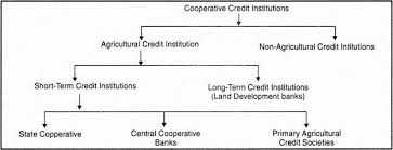 Cooperative Banking In India History Structure Importance