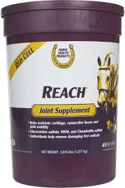 Reach Joint Supplement For Horses 2 815 Lb 45 Days