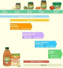 Learn About The Introduction Of Baby Food Chart Newborn