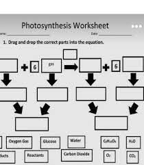 Photosynthesis Worksheets Class 7