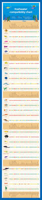 Petco Fish Compatibility Chart Saltwater Fish