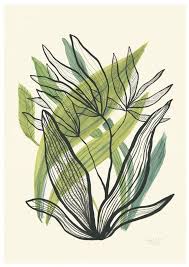 Juliana Cabrera On Posters Plant Art