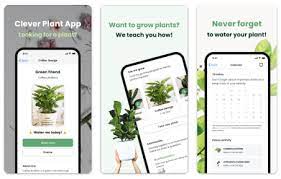 Clever Plant App Design Ysis