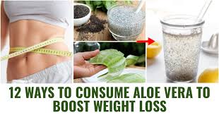 consume aloe vera to boost weight loss