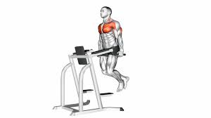 effective lower chest workout for well