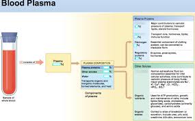 blood plasma composition diagram